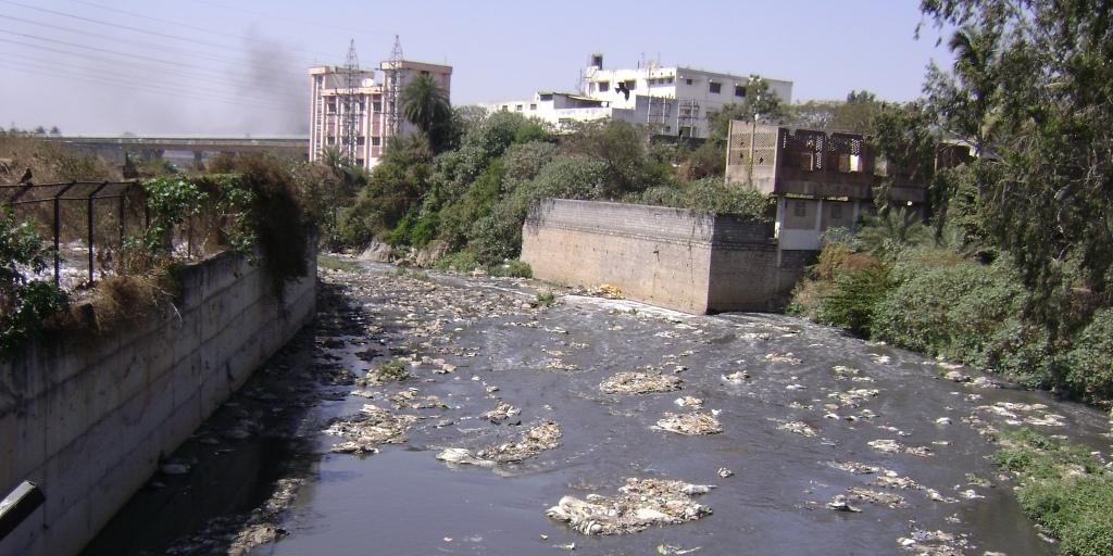 Most rivers near cities have become sewers: the Vrishabhavathy river in Bangalore (Photograph by: Priyanka Jamwal)