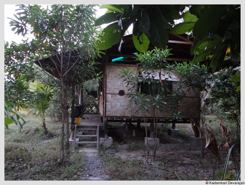 Stilt cottages at ANET