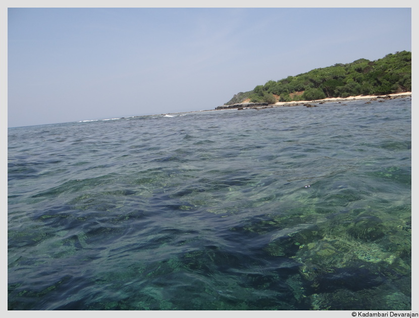 Of fringe reefs and island views