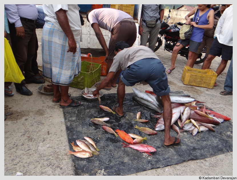 Fresh catch