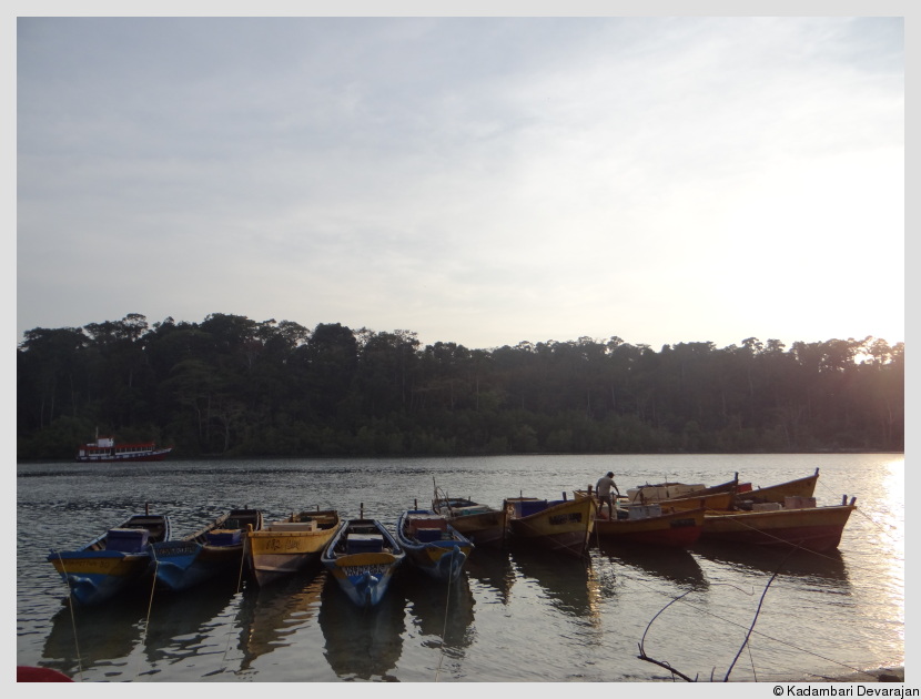 Fishing boats