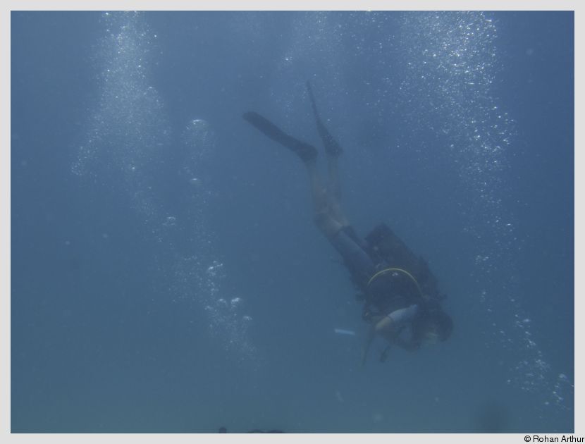 Yours truly, scuba diving