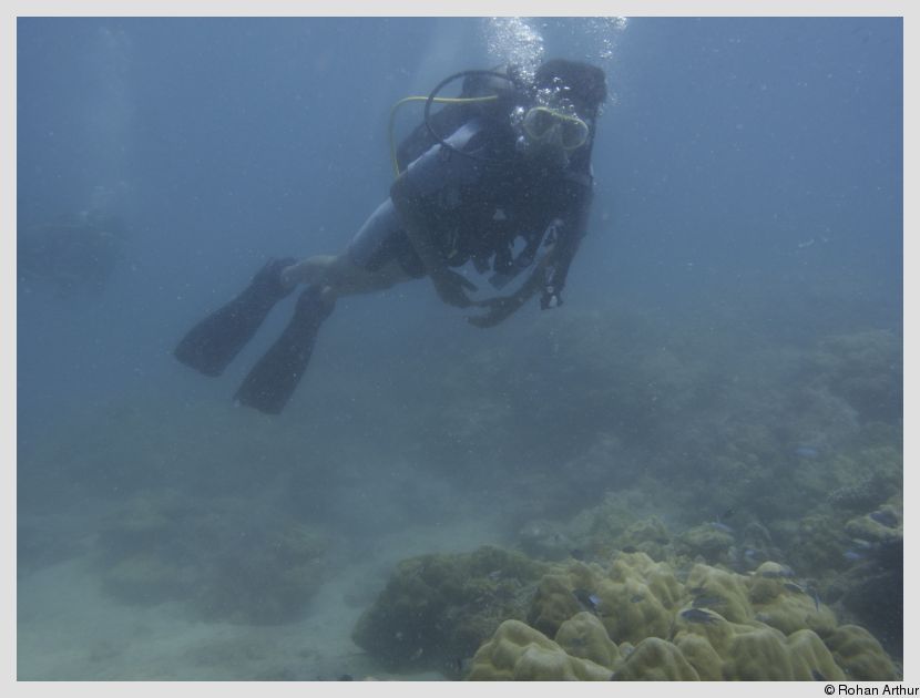 Yours truly, scuba diving
