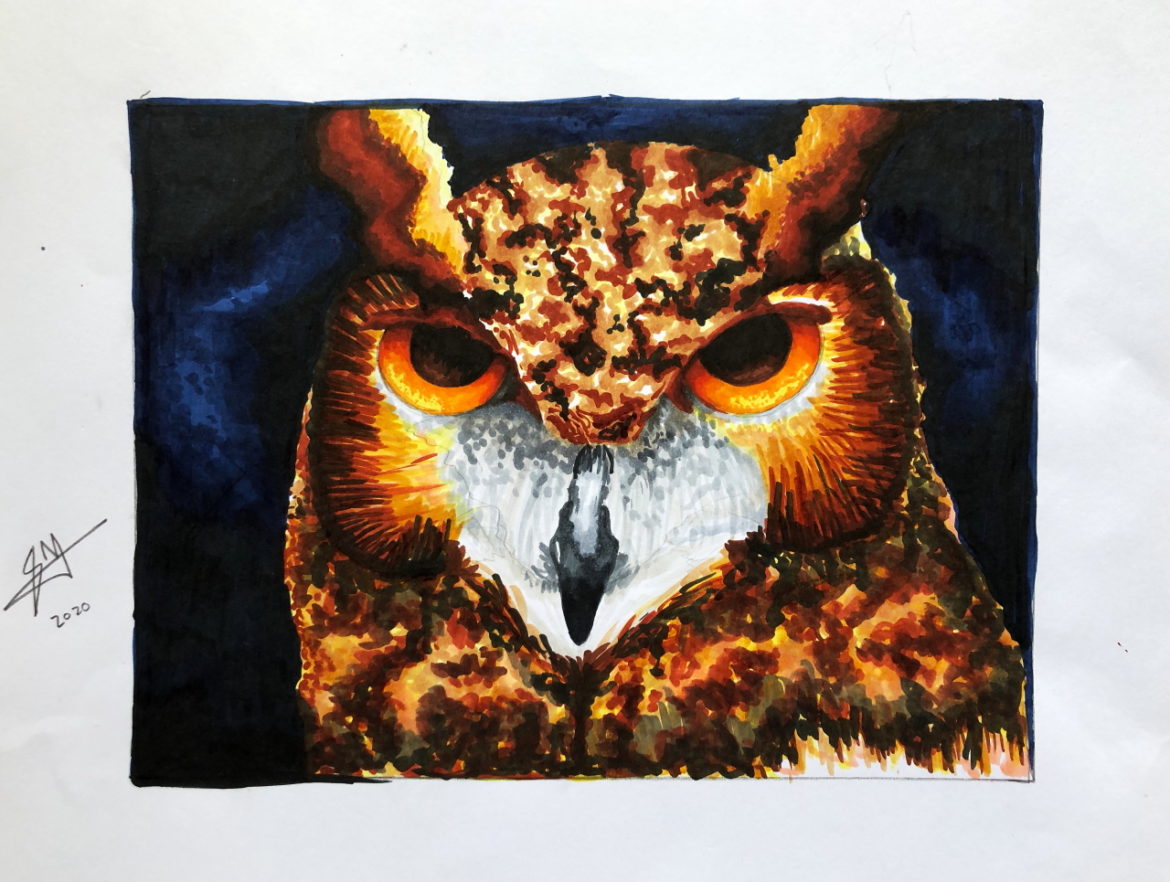 Being Wise is Knowing What to Look At BY Snehin Mitra